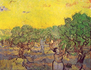 Oliveraie avec des chiffres de cueillette Vincent van Gogh Peinture à l'huile
